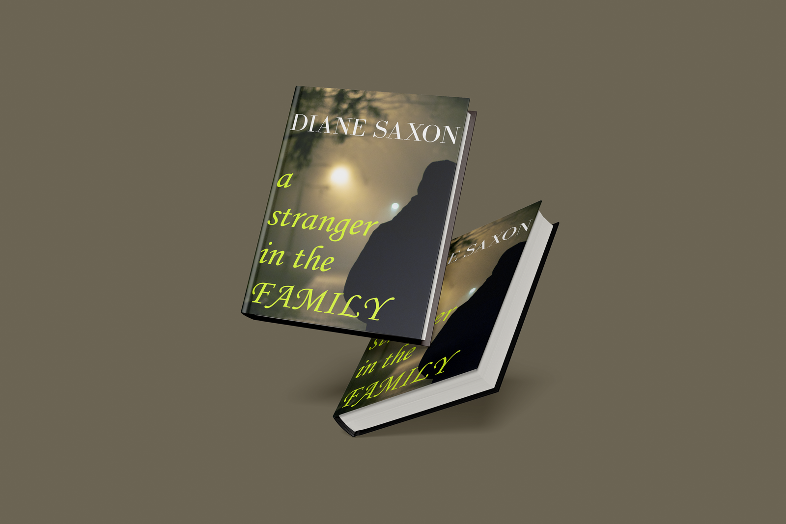 Stranger in the Family case study